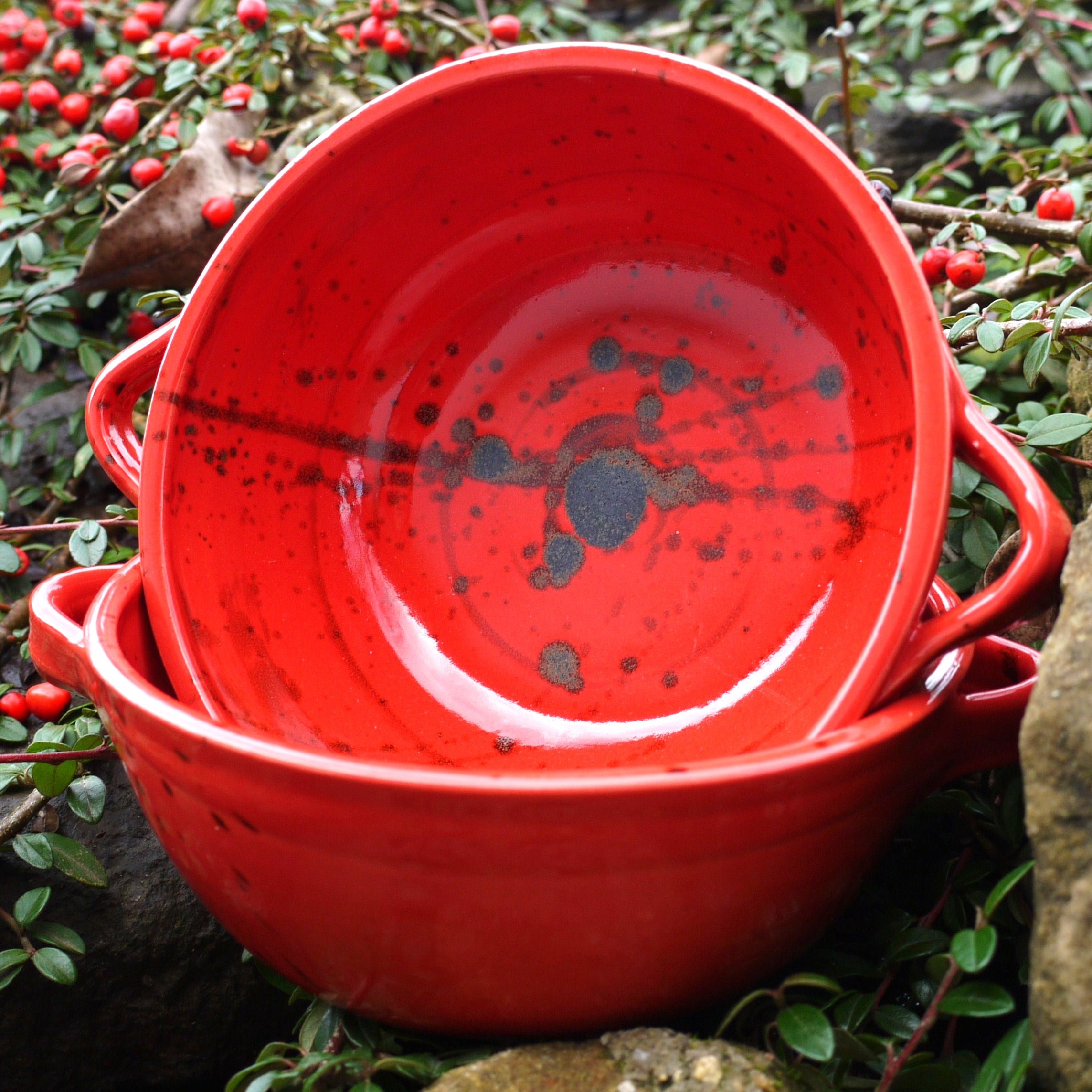 Miska s ušima - Ohnivý rej