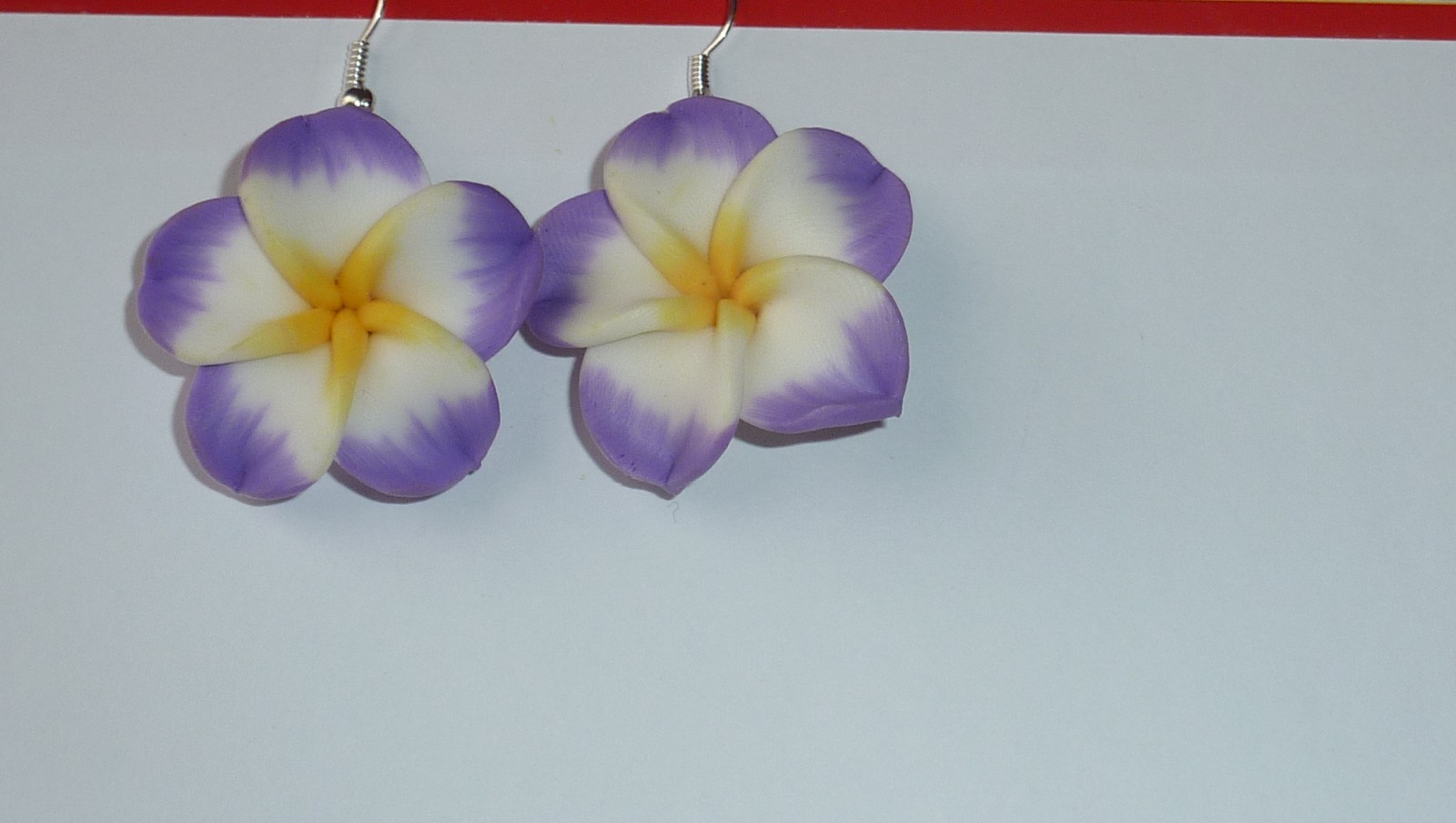 Fialovo - bílé macešky