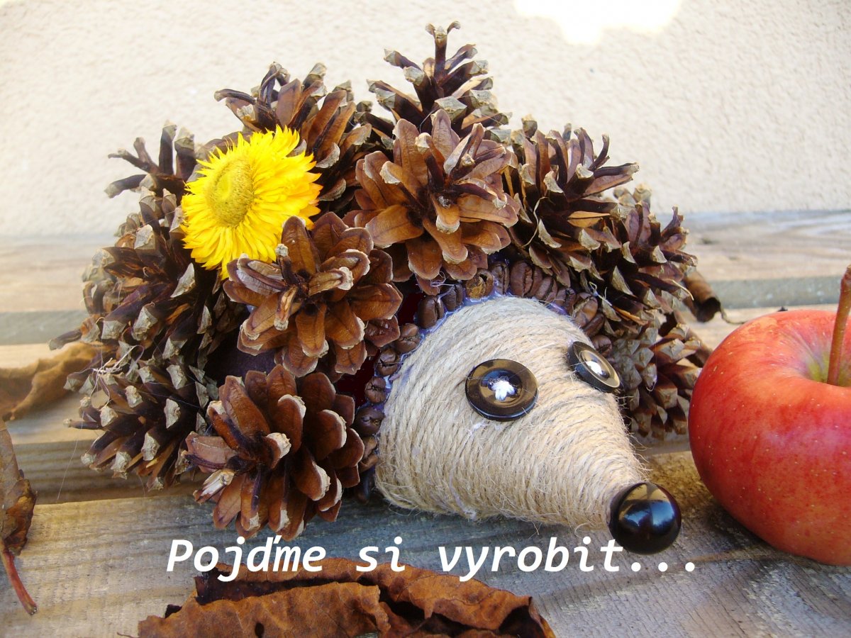 Ježek Vašek - kreativní sada