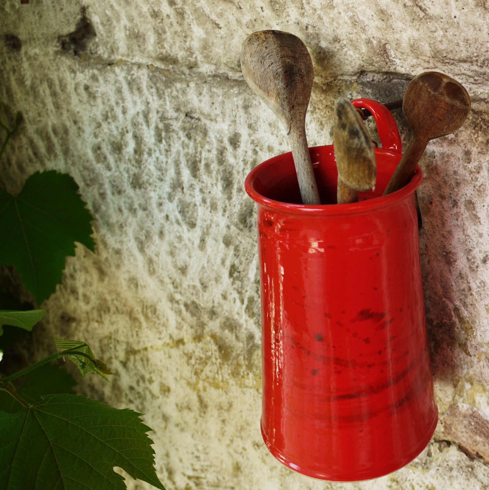 vařečkovník Véna - Ohnivý rej