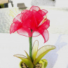 amarilis - nylonový květ