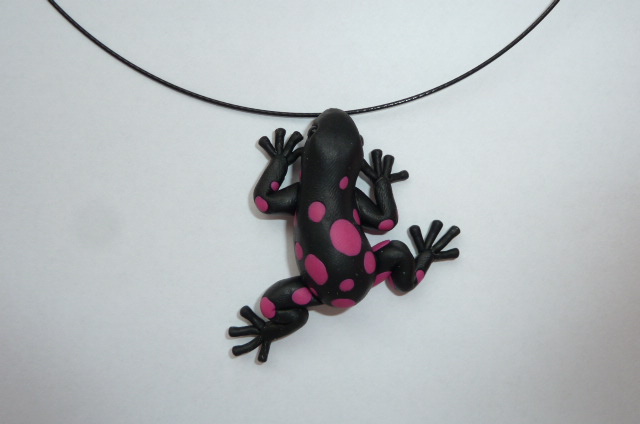 Pralesnička růžová