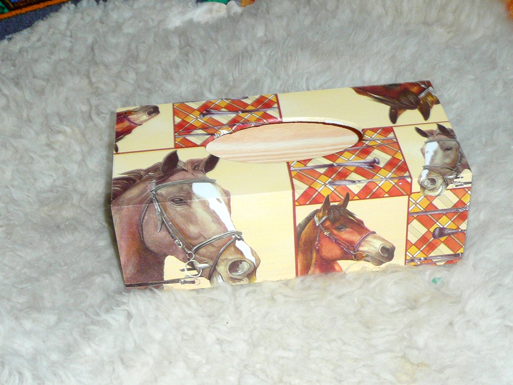 krabička na kapesníky koně