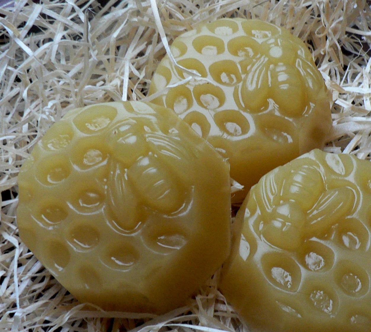 Medová včelí plástev - velká