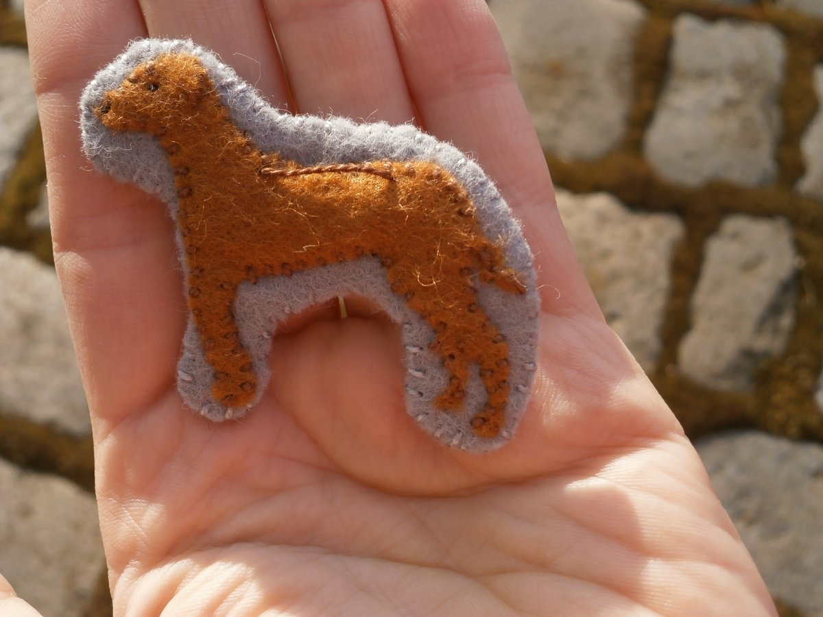 Brož rhodéský ridgeback