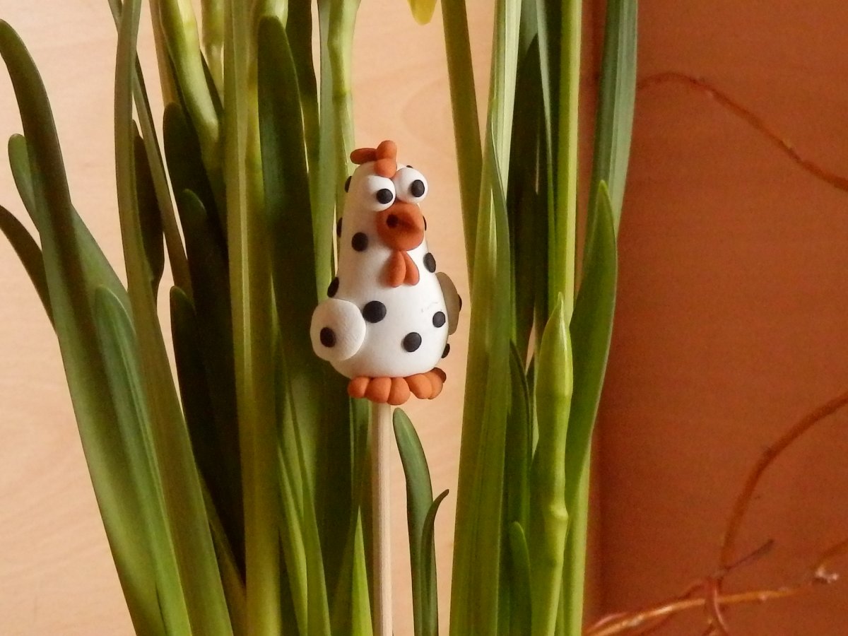 Slepička-bílá s černou