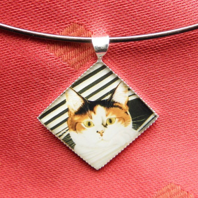 Kočičí náhrdelník