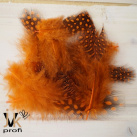 Peříčka kropenatá - oranžová (10 ks)