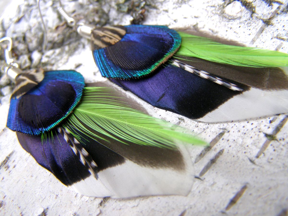 Kachna s pávem na vandru