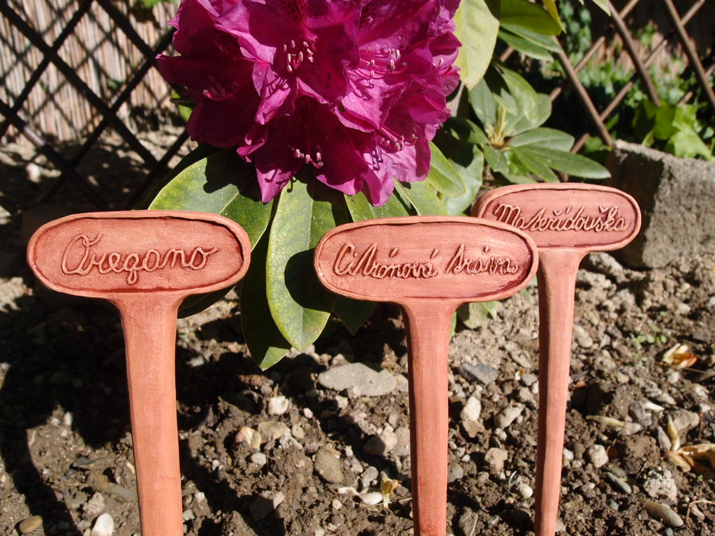 Zápichy  bylinkové