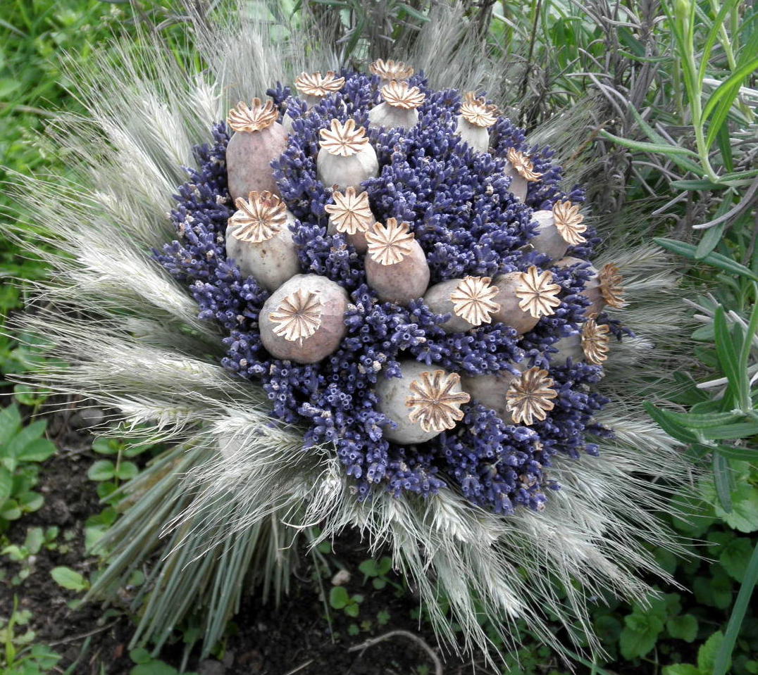 Kytice makovice v levanduli