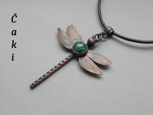 Kampak letíš, vážko?