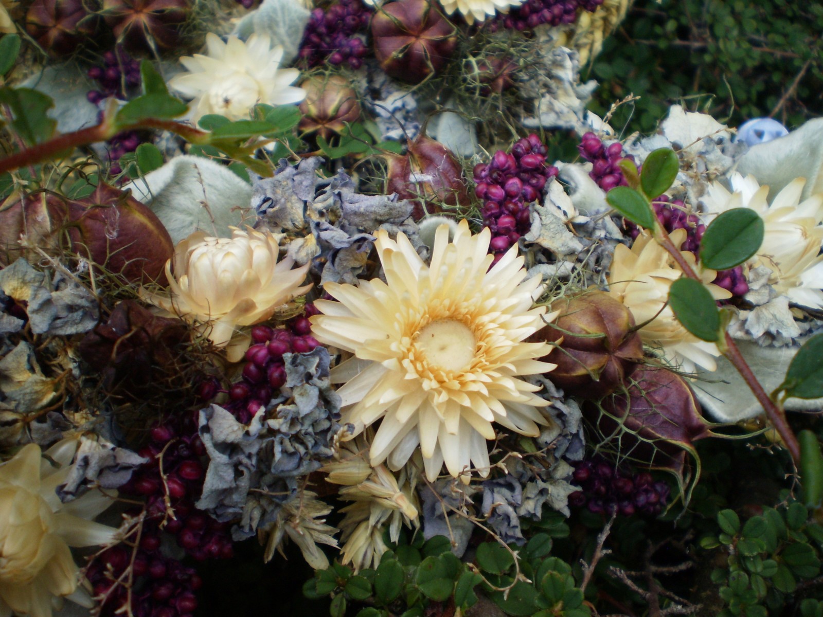 Přírodní snop do fialova