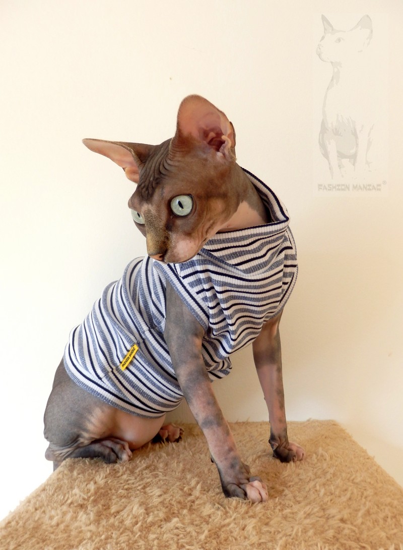 Obleček pro Sphynxe