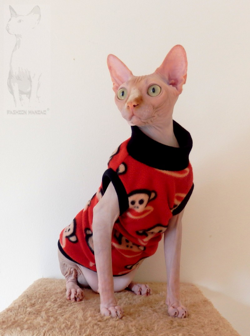 Pro opičky s opičkou 