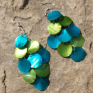 Modro-zelené perleťovky