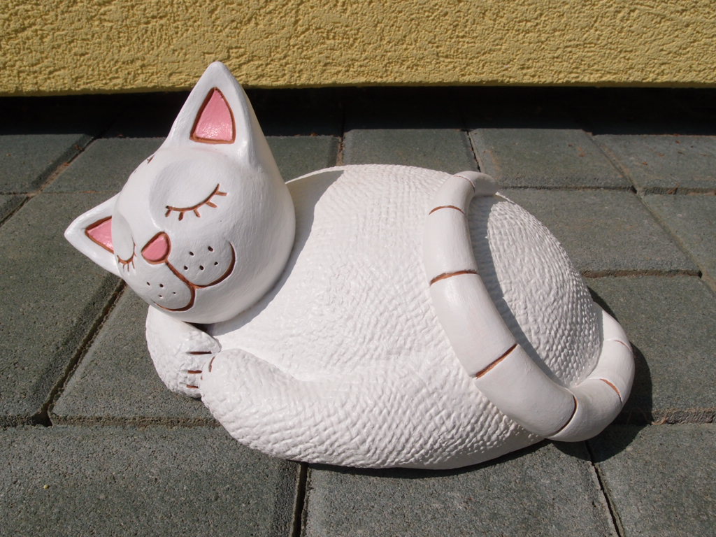 Kočka bílá spící