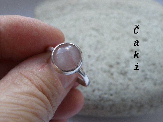 Růženín  ve stříbře