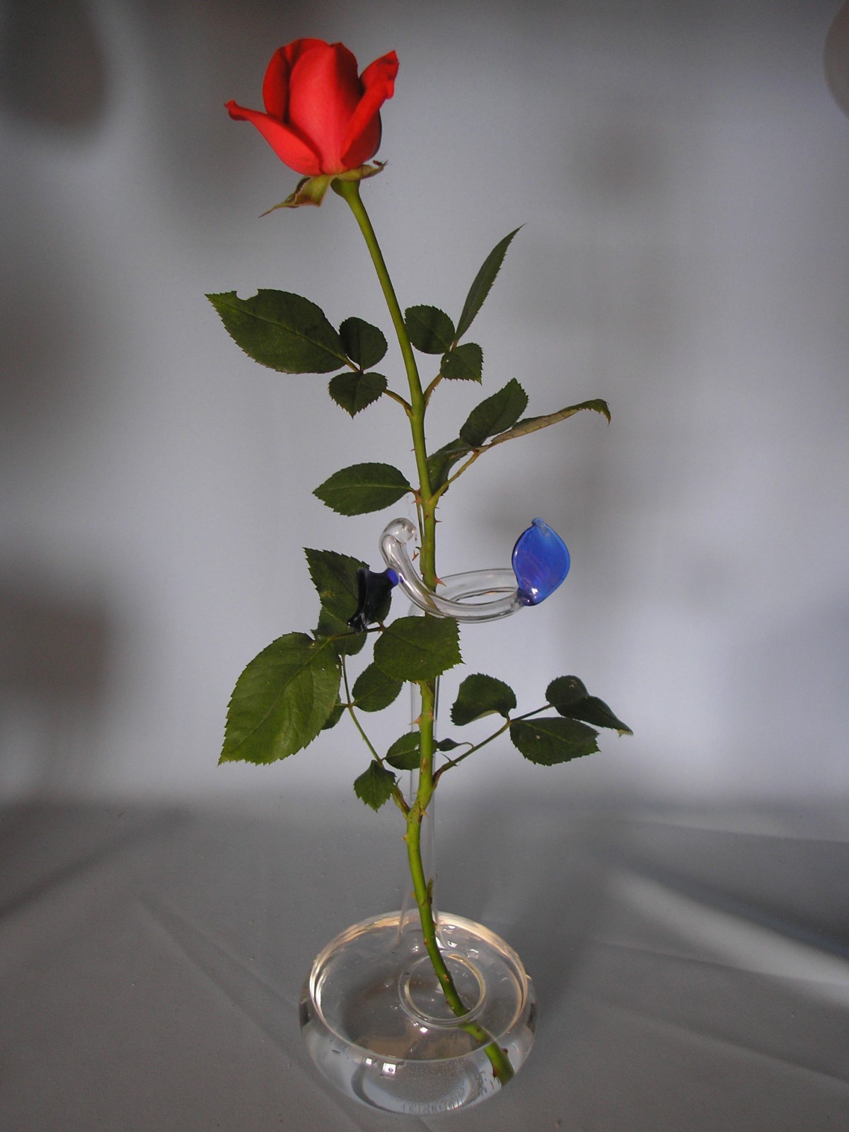 Váza na jednu květinu...