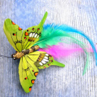 Motýlek Zelenka