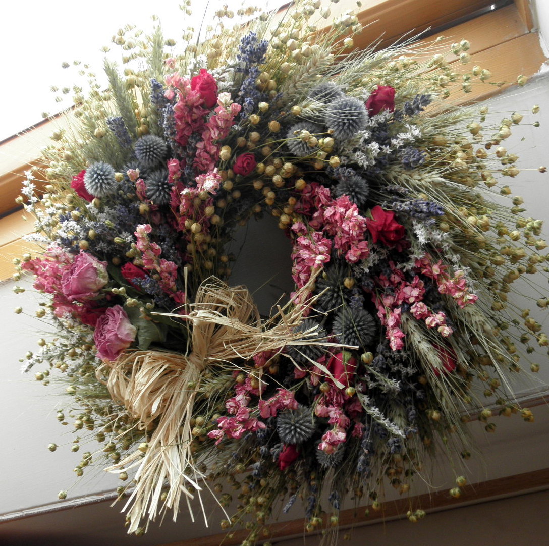 Růže v bodláčí...