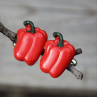 Papriky - manžetové knoflíčky, dárek pro muže, fimo, polymer