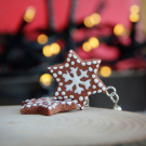 Perníkové hvězdičky/vločky (fimo vánoční náušnice cukroví)