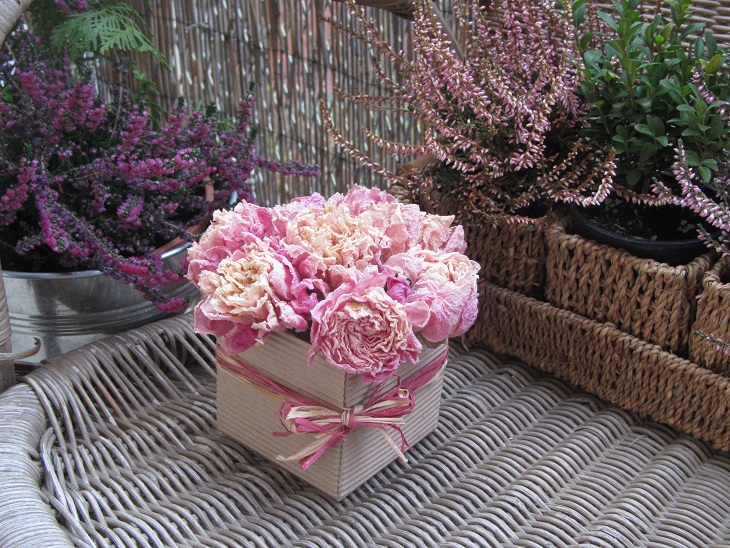 Ty jsi má...pivoňková I.