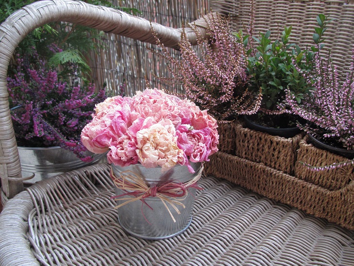 Ty jsi má...pivoňková II.