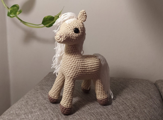 Koník - Plavák s lysinkou