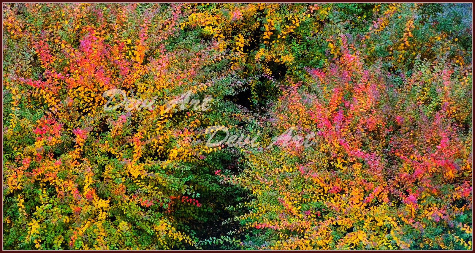 Podzimní ohňostroj