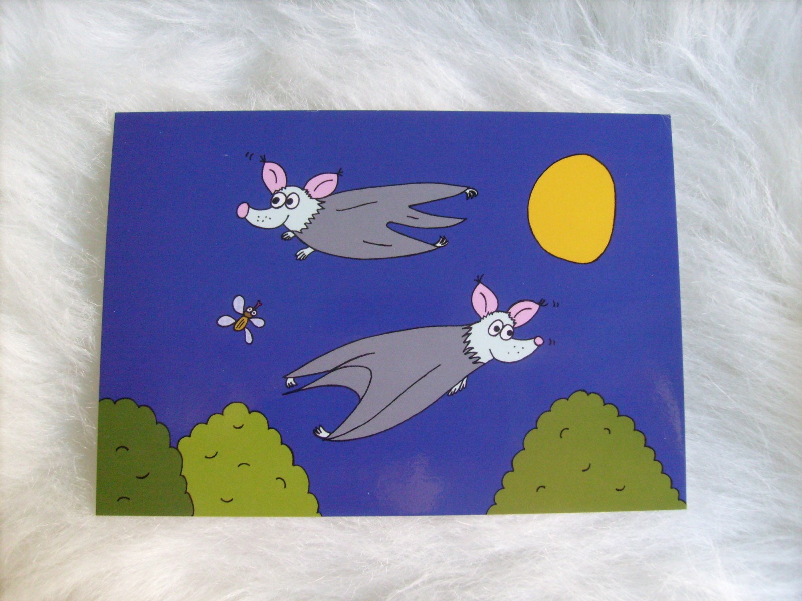 Netopýří rejdění