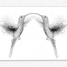 Reprodukce obrazu - "Láska kolibříků"