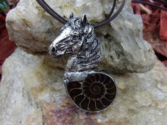 ... hippocampus - amonit ...