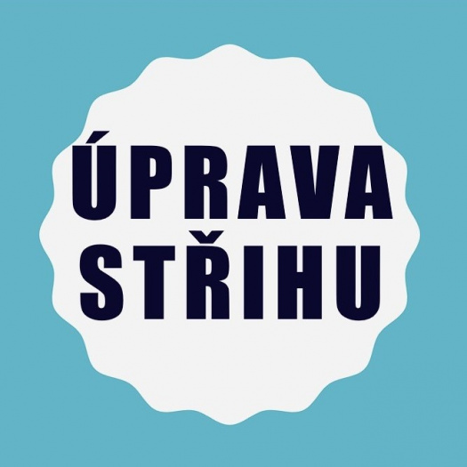 ÚPRAVA STŘIHU