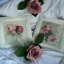 Růže - dva obrázky