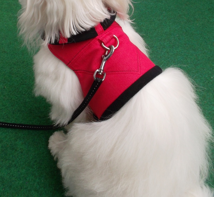 Červeno-černé kšíry zateplené vel.S -VÝPRODEJ!!!