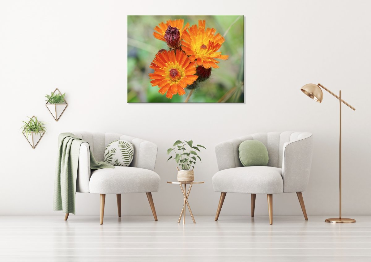 Navždy spolu (Fotoobraz 60x45 cm)