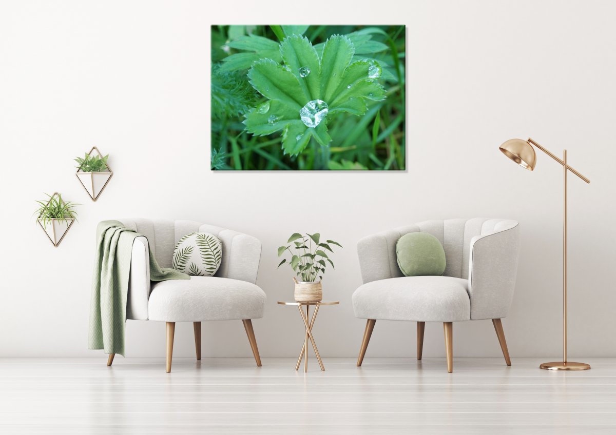 Jsi můj poklad (Fotoobraz 60x45 cm)