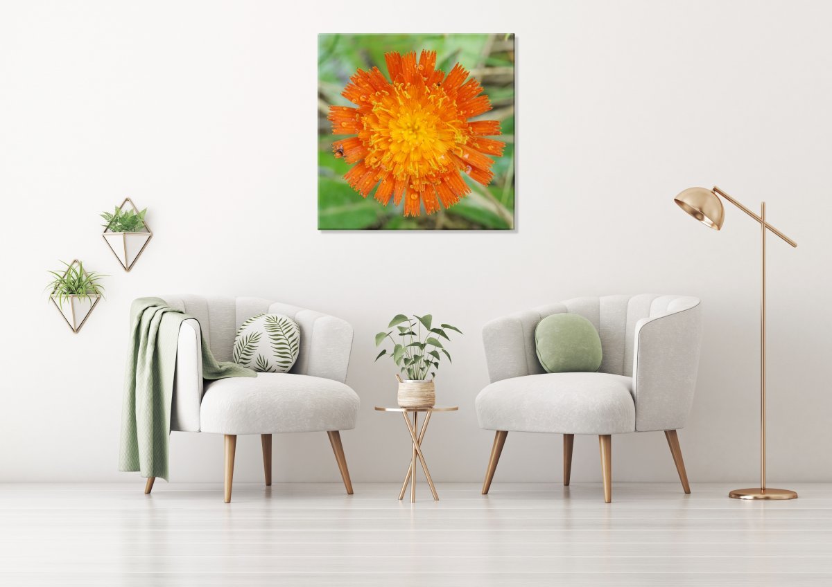 Slunce pro Tebe (Fotoobraz 50x50 cm)