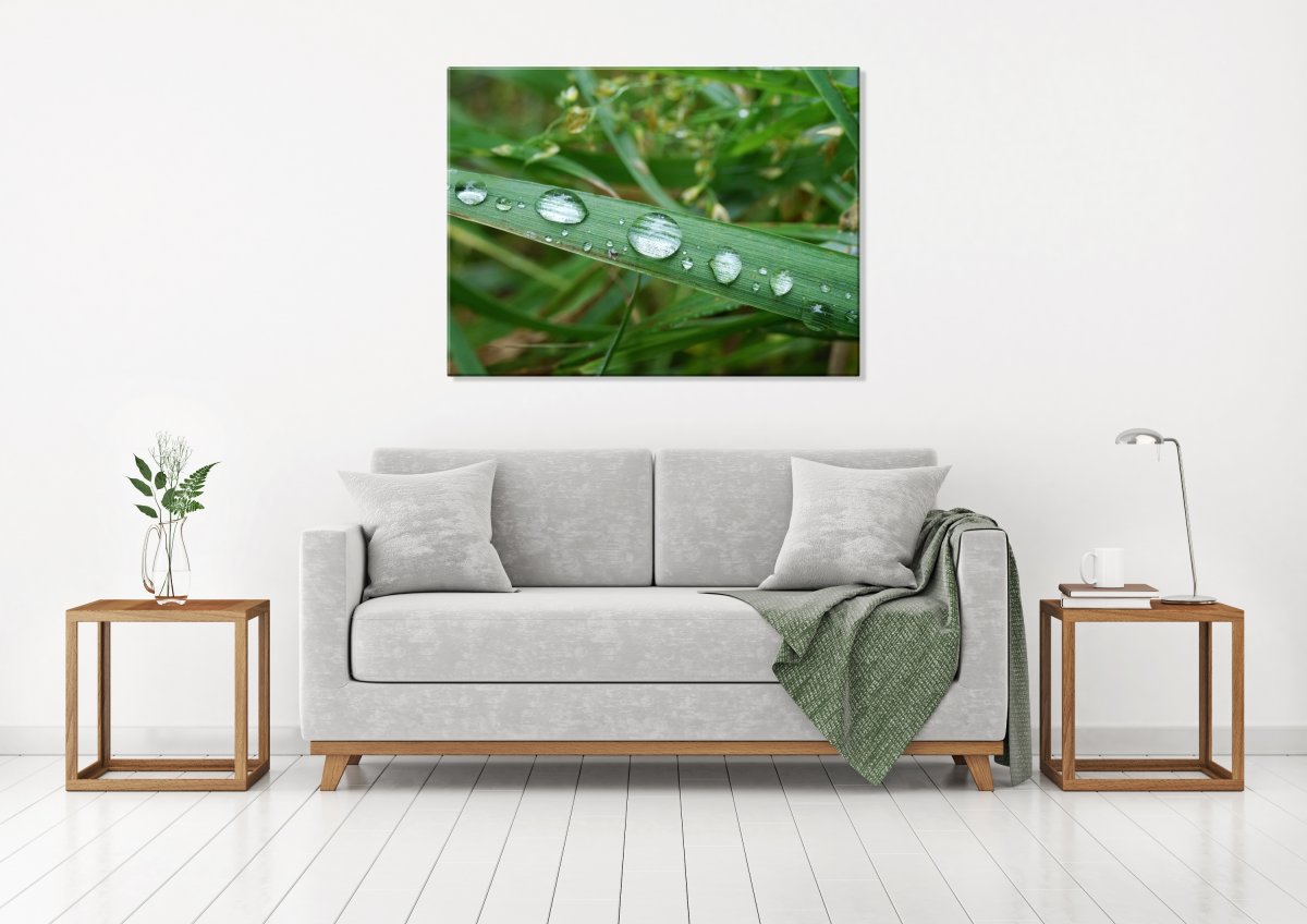 Snídaně v trávě (Fotoobraz 60x45 cm)