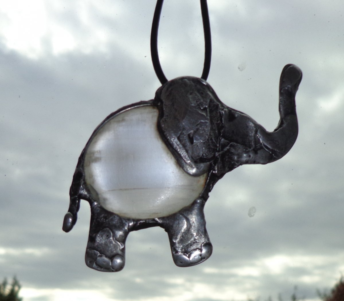 Sloník růženínový