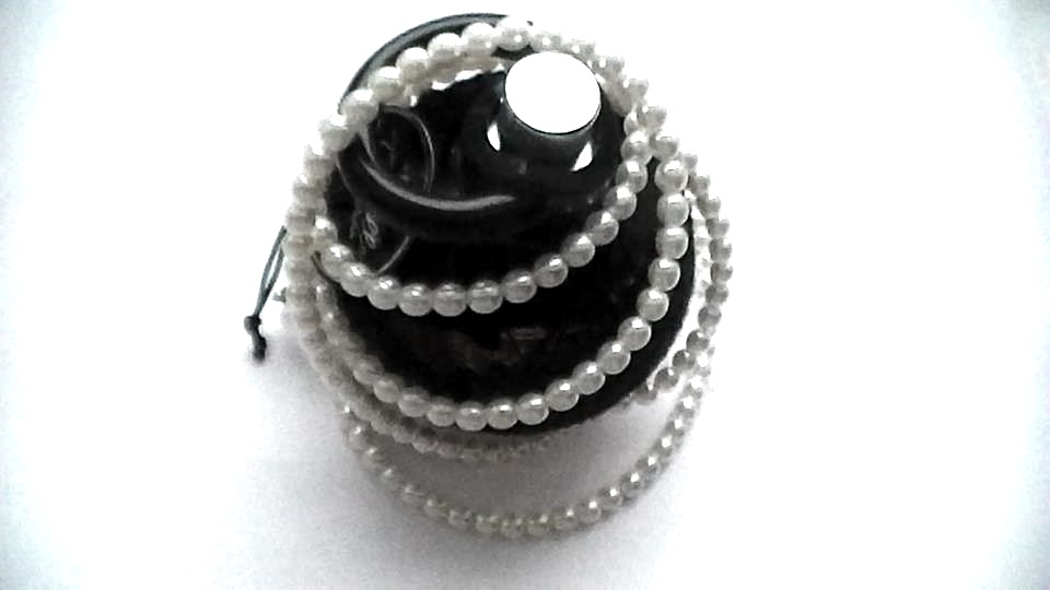 Krásné , jako pravé - LABUTĚ