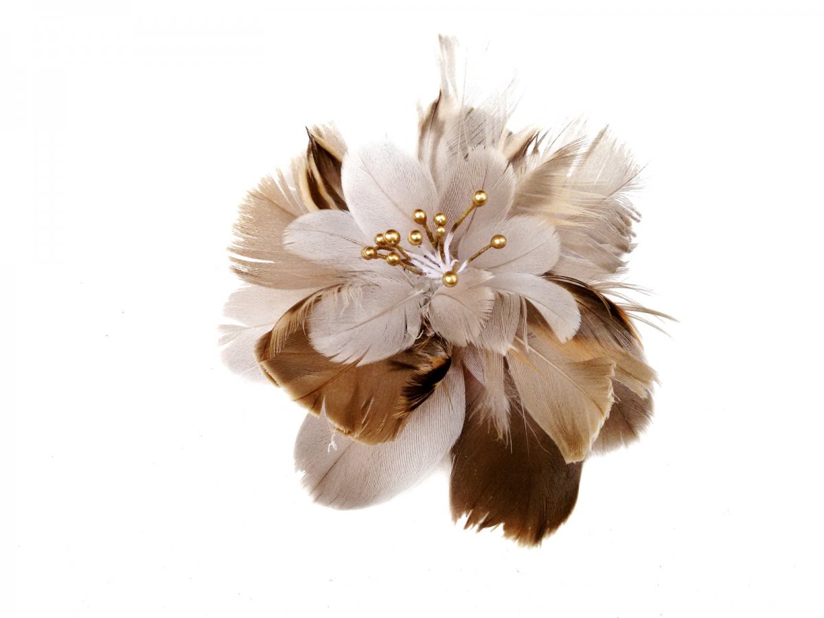 Brož Plumeus natura II.č.1281