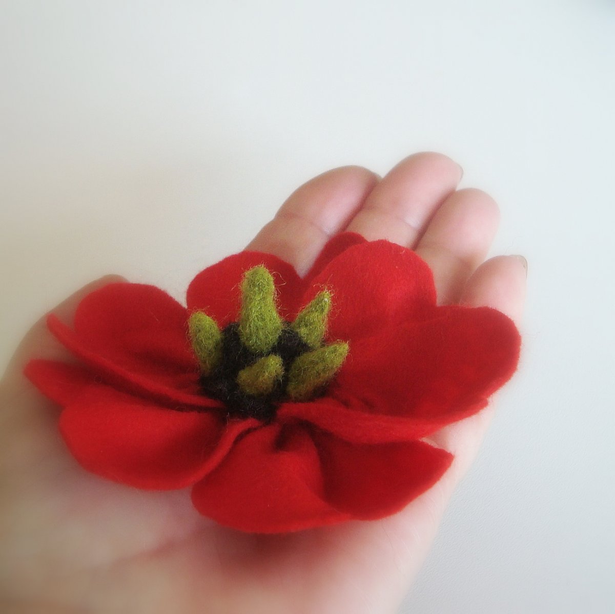 Vlčí mák nové generace