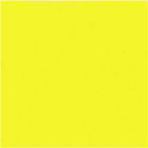 Efcolor 10ml neonově žlutý (9370407)
      