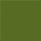 Efcolor 10ml olivová (9370066)
      