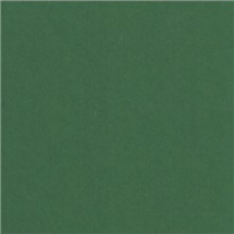 A4 fotokarton zelený tmavě,300g/m2 (3774655)
      