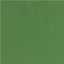 Pěnová guma Foamiran 30x35cm (1ks) zelená (505-866)
      