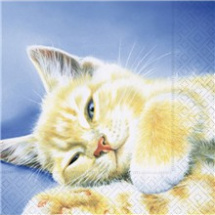 Ubrousek Spící kočka 1ks (LN0261) (1616236)
      